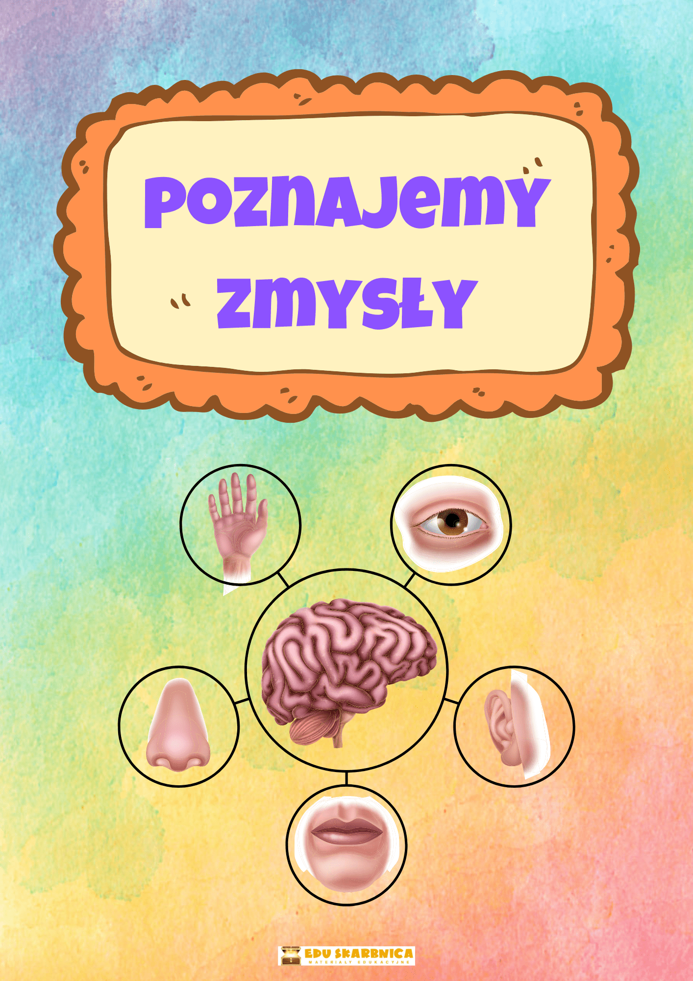 Poznajemy zmysły u dzieci - zestaw PDF - edu - skarbnica.pl