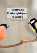 Ptaki przylatujące na wiosnę - Prezentacja - edu - skarbnica.pl