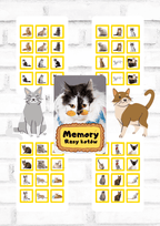 Memory - rasy kotów - edu - skarbnica.pl