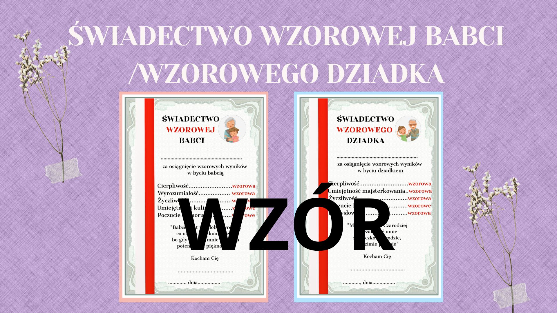 Świadectwo Wzorowego Dziadka i Babci - edu - skarbnica.pl