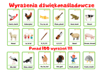 Wyrażenia dźwiękonaśladowcze PDF - edu - skarbnica.pl