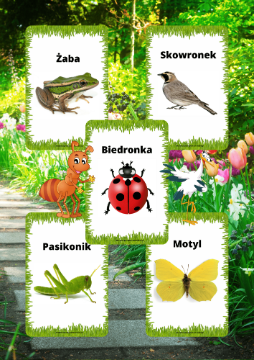 Zestaw Mieszkańcy Łąki dla dzieci - edu - skarbnica.pl
