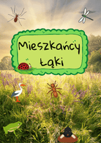 Zestaw Mieszkańcy Łąki dla dzieci - edu - skarbnica.pl
