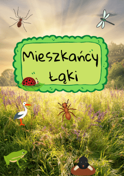 Zestaw Mieszkańcy Łąki dla dzieci - edu - skarbnica.pl