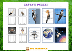 Zestaw puzzlowy PDF dla dzieci - edu - skarbnica.pl